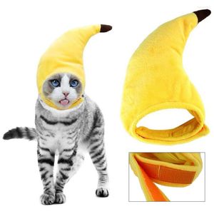 Trajes de gato chapéu banana engraçado traje de halloween chapéus de cão pet filhote de cachorro adereços vestido chapelaria decoração de férias
