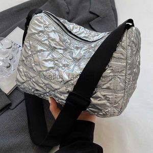 Umhängetaschen, Umhängetaschen für Damen, große Kapazität, Nylon-Soulder-Taschen, weibliche Pendler- und Taschen, gesteppte Unterarmtasche, catlin_fashion_bags