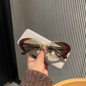 Sunglasses Japan Designer Eyeglasses Top Quality Fashion Gradation Cat Eye Acetate Glasses Women Sun UV400