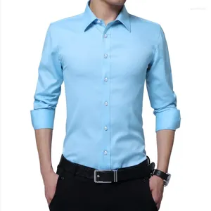 Men's Casual Shirts Spring And Autumn Polo Collar Single Breasted Solid Cardigan Tee T-shirt Bottom Shirt Fashion Holiday Formal Tops