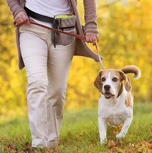30PCS耐久性のあるペットドッグトリートベイトウエストポーチポーチ子犬の報酬ベースのバックルベルト付きトレーニングバッグペットおもちゃペット用品を簡単に運ぶ