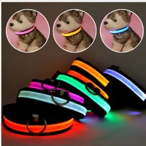 LED Nylon Pet Dog Collar Night Safety Glow blinkande hundkatt Krage Led Lysande små hundar Halsar USB -laddningsbara 10st.