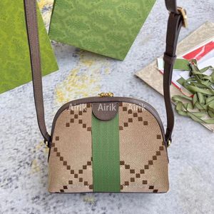 Fashion Cross Body airik Fashionable small crossbody bag leather women's handbag luxury wallet 499621 size 23*19*8