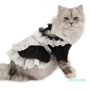 Kedi Kostümleri Kostüm Hizmetçi Önlük Cosplay üniformaları tatlı süslü elbise pamuklu elbiseler şapka set set bahar kıyafetleri 45 kedi yavrusu küçük köpekler