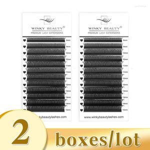 False Eyelashes 2Boxes/Lot Winky Beauty Y Volume Eyelash Extensions C/D Curl YY Wire Easy Fan Private Label Supplies Makeup Wholesale