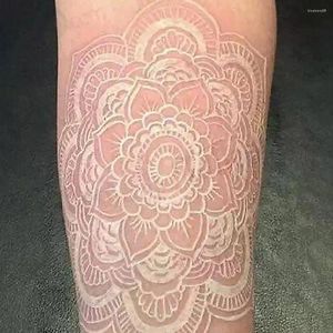 Tintas de tatuagem tinta de sobrancelha durável diy colorido pigmento à base de água para maquiagem profissional beleza tintas suprimentos