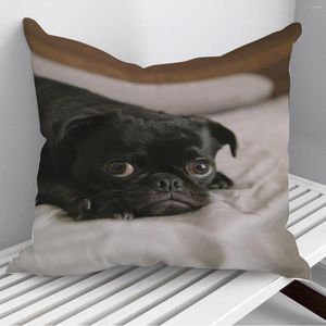 Travesseiro preto adorável pug na cama travesseiros de tampa sofá decoração de casa 45 45cm 40 40cm Pounhores de travesseiros de presente Drop Cojines