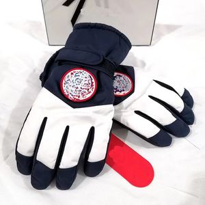 Rękawiczki narciarskie Wodoodporne rękawiczki narciarskie Zimowe ekran dotykowy Rękawiczki śniegowe polarowe ciepłe rękawiczki termiczne do jazdy na nartach na snowboard