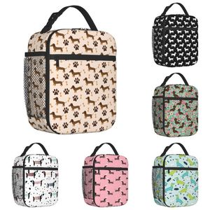 Ice PacksIsothermic Bags Long Hair Dachshund Sausage Dog Print Thermal Insulated Lunch Pet Wiener Portable Container School Storage Food Box 230407