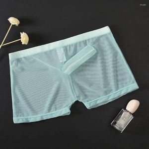 Cuecas masculinas malha transparente elefante nariz boxer shorts de canto plano calças finas cintura média divisão juventude lingerie