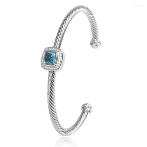 Bangle Jade Angel Fashion Spiral Armband för kvinnor Vintage Ladies Inlaid Square Blue Zircon Copper Jewelry Birthday Party Gift