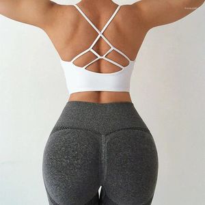 Yoga outfit Fitness Sports BH Underkläder Kvinnor skjuter upp räckt gymnastiksutbildning Aktiv slitskorbrett