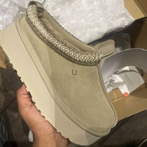 Tazz Suede Platform بذور الخردل النسائية الحجم 10 تسمان Ultra Mini Wool Winter Booties مصمم الأحذية الفاخرة من جلد الغزال