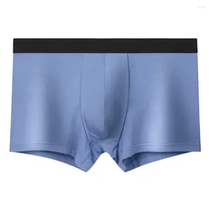 Underbyxor Mens Modal U-pås underkläder Boxer Border mjuka elastiska shorts stammar sömlösa peni bulge trosor andningsbara knickers