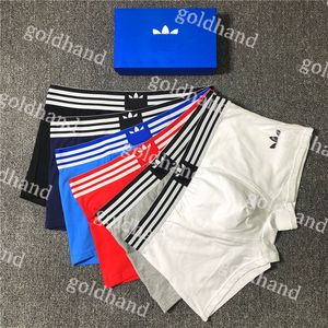 Boxers de moda cuecas algodão puro cuecas respiráveis ​​tight listra de designer machos machos machos roupas de baixo 3PE/lote