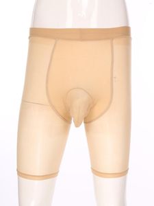 Underpante View-through-through boxer Brief para homens sexy masculino baixa calça de cintura lingerie sugere