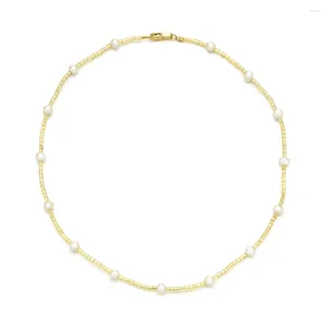 Choker Zmzy Minimalist Miyuki Seed Pärlor Diy Real Pearl Necklace Freshwater Simple Delicate Smycken för kvinnor