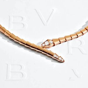 Jóias de corda de jóias Colar de designer colar de luxo colar de colar de colar feminino de colar serpentina broca de cinto de serpentina bvl charing platinum moissanite Chain Collier