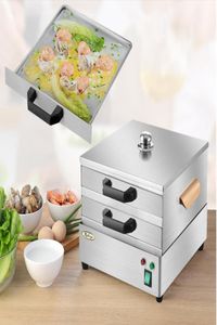 ElectroThermal 2 Livelli In Acciaio Inox 304 Riso Noodle Roll Panino Al Vapore Macchina A Vapore Vermicelli Roll Forno A Vapore Forno A Vapore Ho8589007