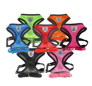 Dog Collars Leashes 10pclot Pet Harness leash調整可能な通気性猫のベストリードチワワの小さな大きな犬3604714