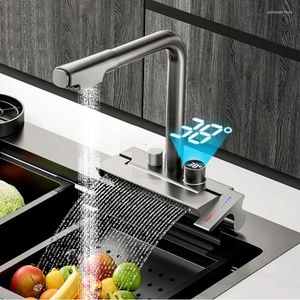 Rubinetti della cucina Rubinetto a cascata a pioggia Lavello Lavaggio Rubinetto per piscina Foro singolo Estraibile Display digitale della temperatura Bagno