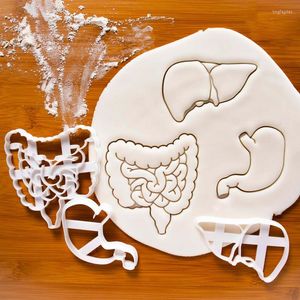 Baking Moulds Mold DIY Biscuit Human Organs Tool Cake Decor Gastrointestinal Liver Accessories Cookie