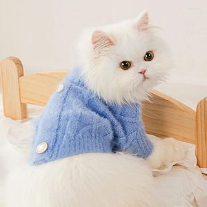 Katzenkostüme Herbst- und Winterkleidung Herbst Modischer Pullover Kätzchen Haarlose Haustierpuppe Verhindern Sie Haarausfall Katzenpullover Klein