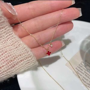 Gioielli firmati Collana a quattro trifogli Designer Fiore foglia rossa Zircone intarsiato in acciaio al titanio Stile versatile Ciondolo Rete Folla Collare Catena Regalo di Van Clee