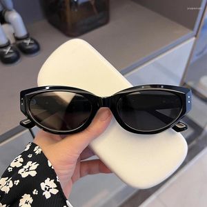 Solglasögon Frames 2023 Personlighet Fashion for Women Designers Select Elegant Cat Eye Glasses smal ram Retro Style Streetwear