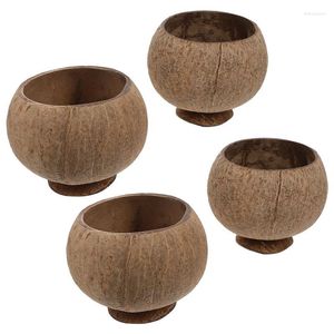 Tigelas Tigela Copas de salada Decoração de doces decorativo Concha de fruta Sopa de sobremesa de fruta Servando mini decoração de fazenda lateral natural da fazenda