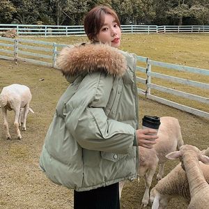 Frauen-Grabenmäntel Rimocy Chic Winter Pelzkragen Parkas für Frauen 2023 Mode Stand Warm Puffy Frau Tasche mit Kapuze Daunenjacke weiblich