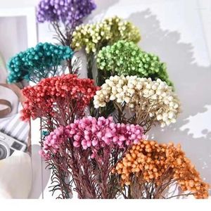 Flores decorativas 50g natural painço frutas secas flor decoração do jardim ao ar livre boho decoração de casa natal 2023 novidades ornamentos pampa