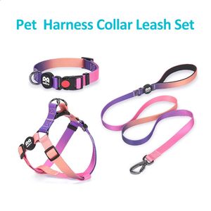 Coleiras para cães Trelas Cor gradiente Coleira e trela para cães Conjunto de arnês de design de luxo personalizado para cães médios e grandes Arnês e trela 231110