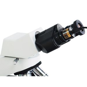 Бесплатная доставка USB-видео CCD-камера, биологический стереомикроскоп, промышленный электронный окуляр для захвата изображений с 2-кольцевым адаптером Qgqmo