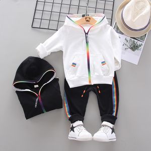 Комплект одежды для маленьких мальчиков, хлопковый спортивный костюм с капюшоном для малышей, осенне-весенний спортивный костюм на молнии для малышей 1, 2, 3, 4 года, лоскутный костюм 211104