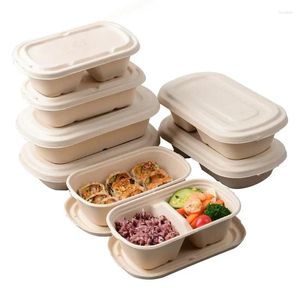 Retire recipientes 50 unidades / lote Bagaço degradável Bento Box Takeaway Food Packaging Boxs Refeição com tampas Preparação