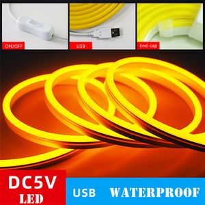 LED Neon Sign Strip Light 5V USB SMD2835 inomhusvattentät flexibel LED-strip ljusblått neonrep ljus för hemdekoration 3m 5m rosa röd varm vit icke-dimbar