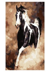 DIY Oil Painting for Adults Kids Paint By Number Kit Digital Oil Painting Horse 16X20 Inches9353726