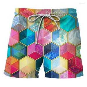 Men's Shorts Quick Dry Elastic Waist Summer Beach Board Swim Trunks 3d Digital Print Unisex Pants Casual Swimwear