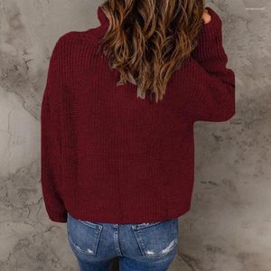 Damenpullover, Pullover, Bluse, Reißverschluss, halbe Knopfleiste, bequem, Herbst-Winter, reine Farbe, Basic-Pullover, gestrickt