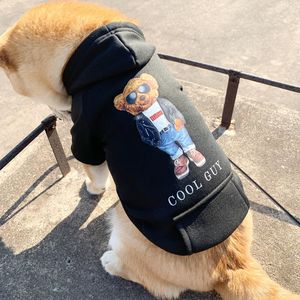 Cool Dog Bluie Fashion Warm Winter Autumn Spring Mały i średni rasa pies chihuahua francuski buldog kombinezonu 231109