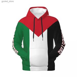 Herrtröjor tröjor 3d casual hoodie palestine flagga emblem palestinsk polyester unisex män kvinnor harajuku fleece sweatshirt pullover hoodies q231110