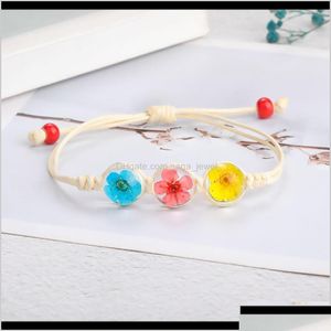 Bracelets de charme joalheria pulseira vintage feita artesanal de vidro de vidro de flor seca real ajustável para mulheres pwcda entrega jóia