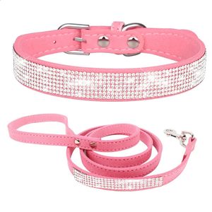 Hundhalsar Leases Dog Cat Collar and Leases Set 231110