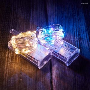 Strings 300cm 30LEDS Sternenschnur Batterie Lichter Fairy Micro LED Transparent Kupferdraht Für Party Weihnachten Hochzeit 8 Farben