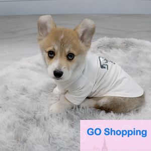 Kaliteli Pet T-Shirt Köpek Giysileri Yaz Giyim Jarre Aero Schnauzer Corgi Pamuk Serin Nefes Alabaş Yüksek Elastik