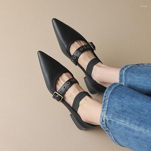Klänningskor 2023 Spring Women Point Toe Chunky Heel Mary Janes Classics Leather Pumps Low Zapatos de Mujer