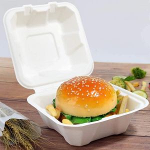 Take Out Containers 50 Pcs Disposable Bento Box Sugarcane Fiber Compostable Food Container 6 Inch Hamburger Microwave Universal Refrigerator