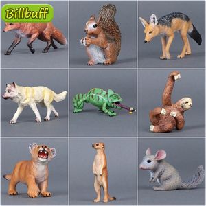 Figuras de brinquedos de ação simulada zoológico de vida selvagem Macaco de cor de cor de cor de dragão pan antigo esquilo Qinqila Modelo de preguiça digital eon 230410