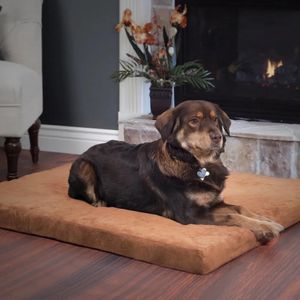 ケネルズペン犬ベッドリムーバブルカバー付き犬用ベッド -  36x27 3インチの卵クラット231110付き整形外科ペットベッド